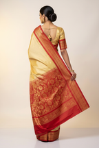 Back Pose Pallu Drape